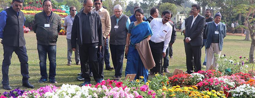 Flower Show